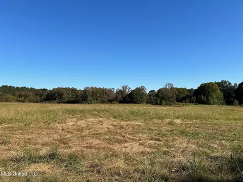 00 County Road 347, Union, MS 39365 photo 5