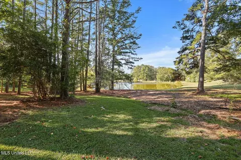 115 Greenridge Dr, Madison, MS 39110 photo 28