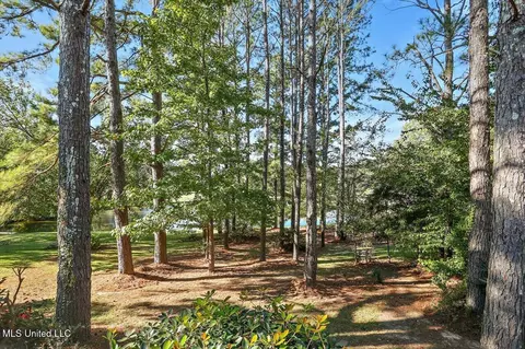 115 Greenridge Dr, Madison, MS 39110 photo 30