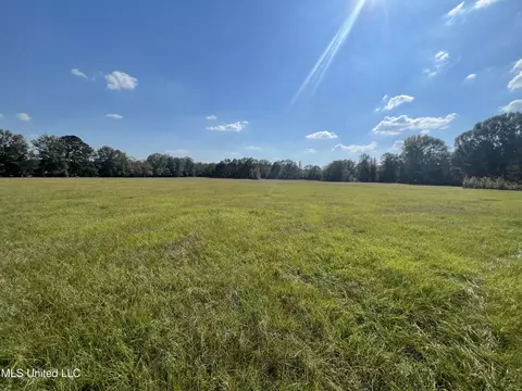 7180 Gunter Rd, Walnut Grove, MS 39189