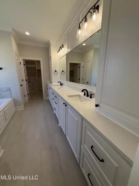 Bath - 125 Ashby Rdg Dr, Canton, MS 39046 photo 6 of 10