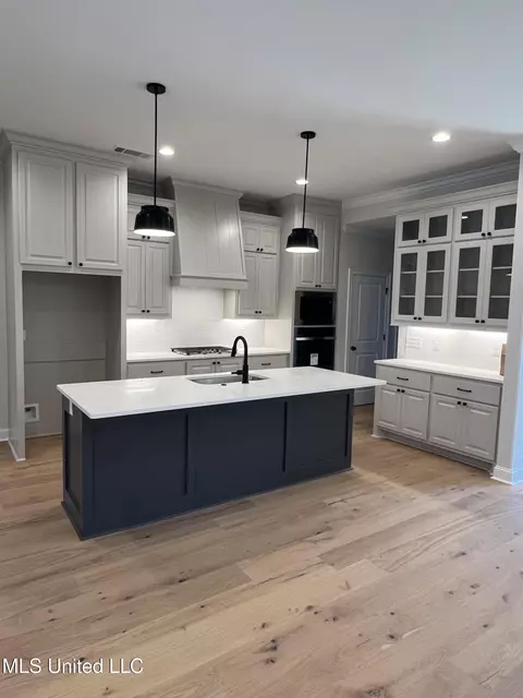Kitchen - 125 Ashby Rdg Dr, Canton, MS 39046 photo 1 of 9