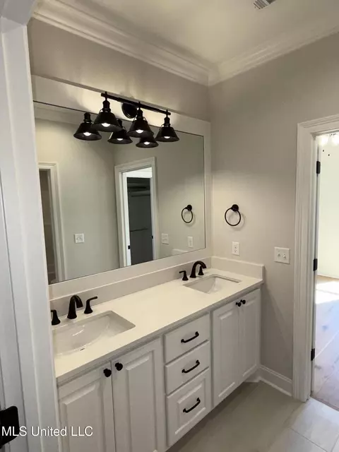 Bath - 125 Ashby Rdg Dr, Canton, MS 39046 photo 9 of 10