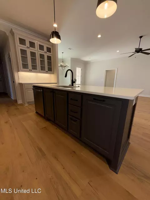 Kitchen - 125 Ashby Rdg Dr, Canton, MS 39046 photo 9 of 9