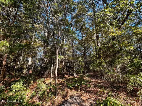 147 Summit Ridge Dr, Brandon, MS 39042 photo 25