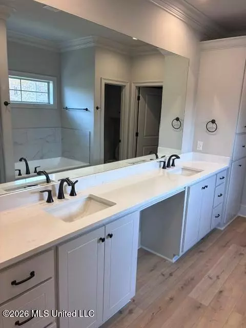 Bath - 124 Saint Croix Ln, Madison, MS 39110 photo 1 of 2