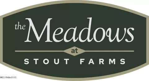 Stout Meadows Lane, Madison, MS 39110 photo 2