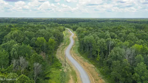 Stout Meadows Lane, Madison, MS 39110 photo 6
