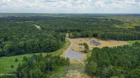Stout Meadows Lane, Madison, MS 39110 photo 9