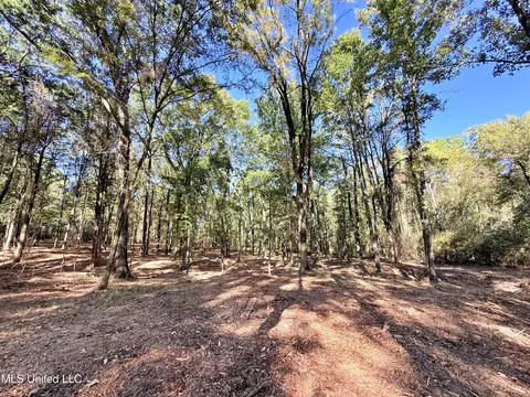Stout Meadows Lane, Madison, MS 39110 photo 5