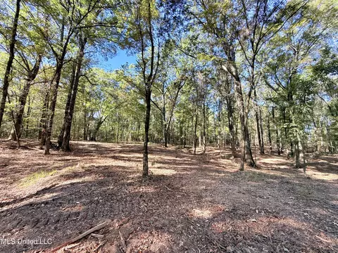 Stout Meadows Lane, Madison, MS 39110 photo 4