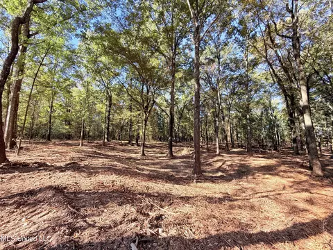 Stout Meadows Lane, Madison, MS 39110