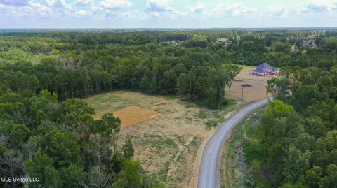 Stout Meadows Lane, Madison, MS 39110 photo 5