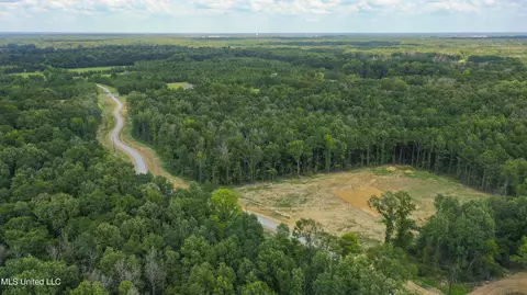 Stout Meadows Lane, Madison, MS 39110 photo 16