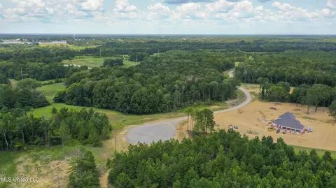 Stout Meadows Lane, Madison, MS 39110 photo 3