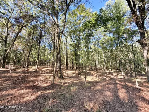 Stout Meadows Lane, Madison, MS 39110 photo 7