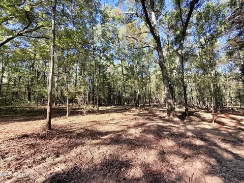 Stout Meadows Lane, Madison, MS 39110 photo 8