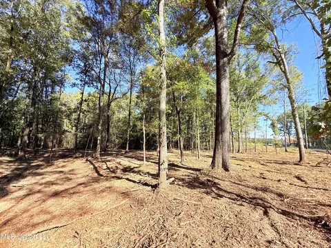 Stout Meadows Lane, Madison, MS 39110 photo 3