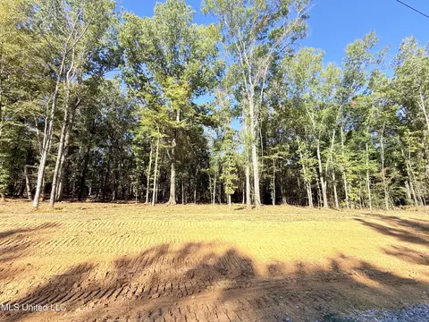 Stout Meadows Lane, Madison, MS 39110 photo 2