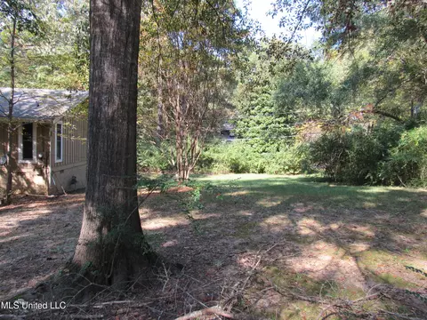 793 Chickadee Cv, Hernando, MS 38632 photo 34