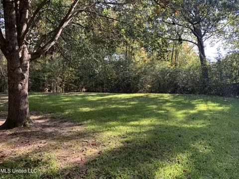 793 Chickadee Cv, Hernando, MS 38632 photo 35