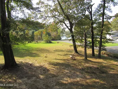 793 Chickadee Cv, Hernando, MS 38632 photo 32