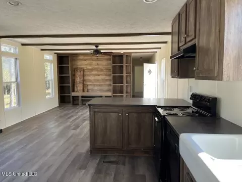 154 S Desoto Rd, Mchenry, MS 39561 photo 5