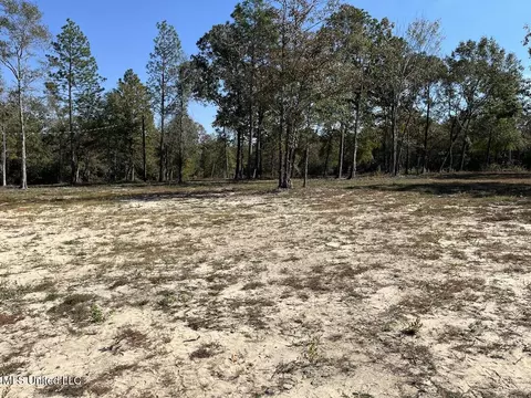 154 S Desoto Rd, Mchenry, MS 39561 photo 16