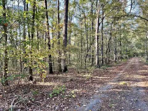 0 Moncure Rd, Terry, MS 39170 photo 3