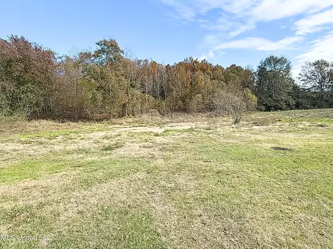 149 Scr 57, Mount Olive, MS 39119 photo 23