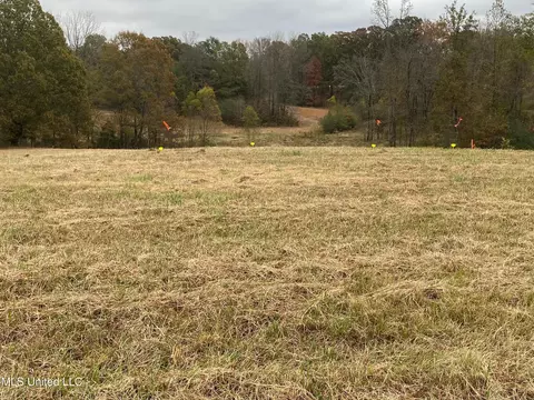 516 Arkabutla Dam Rd, Coldwater, MS 38618
