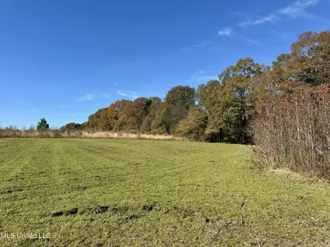 Lanewood Rd, Pocahontas, MS 39209
