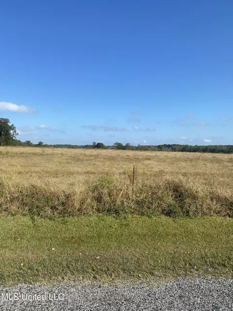 105 Pump Branch Rd, Wiggins, MS 39577 photo 3