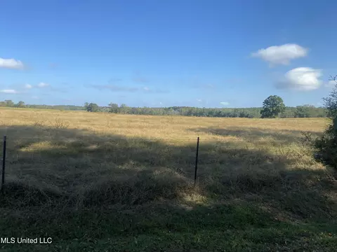 105 Pump Branch Rd, Wiggins, MS 39577 photo 4