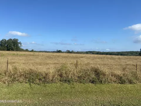 105 Pump Branch Rd, Wiggins, MS 39577 photo 2