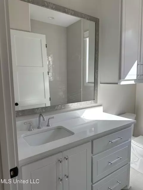 Bath - 123 Andrew Jackson St, Madison, MS 39110 photo 6 of 7