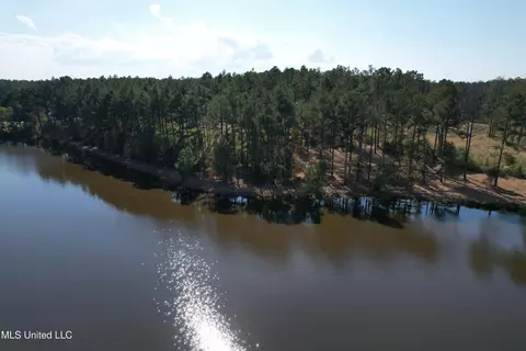 Lakeshire Parkway, Canton, MS 39046 photo 2