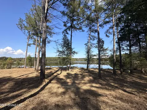 Lakeshire Parkway, Canton, MS 39046 photo 4