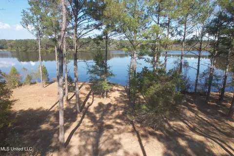 Lakeshire Parkway, Canton, MS 39046 photo 3