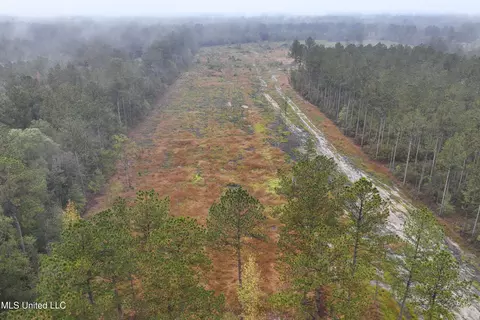 6294 Salem Rd, Mclain, MS 39456 photo 38