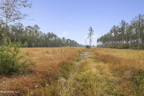 6294 Salem Rd, Mclain, MS 39456 photo 34