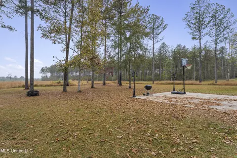 6294 Salem Rd, Mclain, MS 39456 photo 36