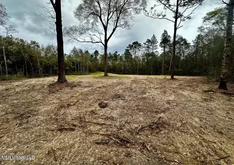 E N Creek Rd. Road, Lucedale, MS 39452 photo 3