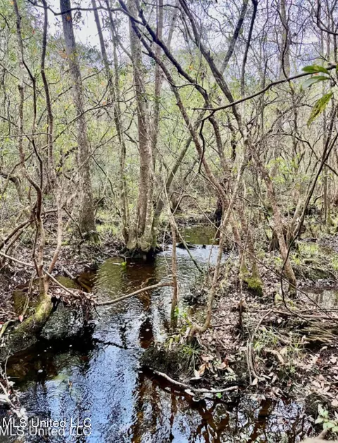 E N Creek Rd. Road, Lucedale, MS 39452 photo 5