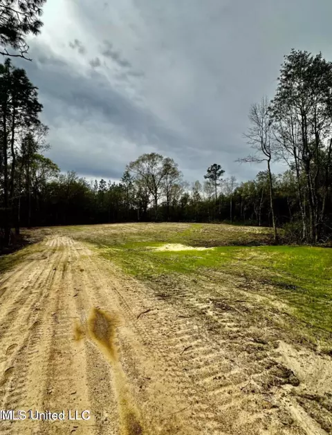 E N Creek Rd. Road, Lucedale, MS 39452 photo 2