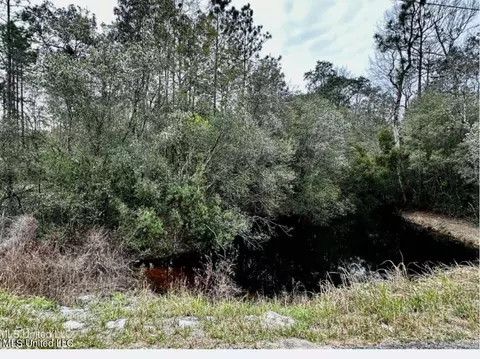 E N Creek Rd. Road, Lucedale, MS 39452 photo 4