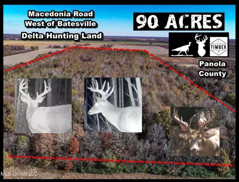 1275 Macedonia Rd, Batesville, MS 38606