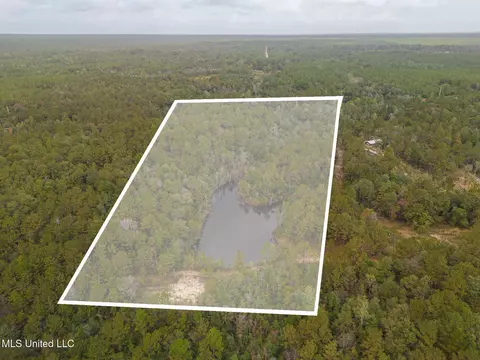 Aaron Scott Road, Lucedale, MS 39452 photo 10