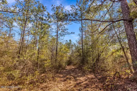 Aaron Scott Road, Lucedale, MS 39452 photo 21