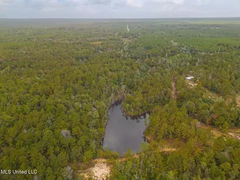 Aaron Scott Road, Lucedale, MS 39452 photo 9